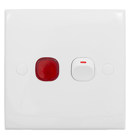 20A Double Pole Switch