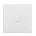 Blank Plate Switch