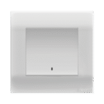 Double Pole Switch
