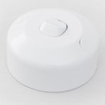 Tumbler Switch