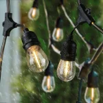 String lights | Indoor/outdoor | 10 meters | 20 bulbs | Warm White