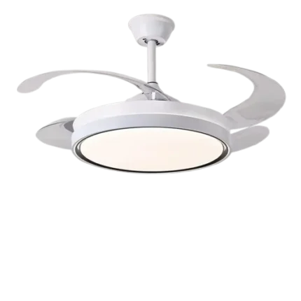 Akra fan light